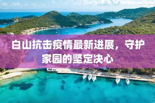 白山抗击疫情最新进展，守护家园的坚定决心