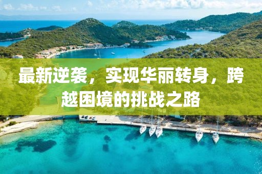 最新逆袭，实现华丽转身，跨越困境的挑战之路