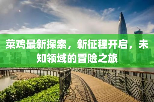 菜鸡最新探索，新征程开启，未知领域的冒险之旅