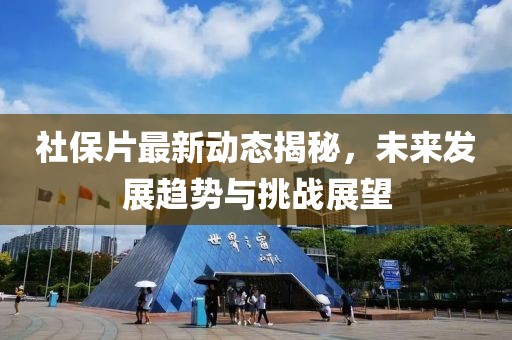 社保片最新动态揭秘，未来发展趋势与挑战展望