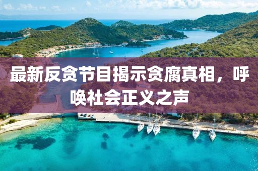 最新反贪节目揭示贪腐真相，呼唤社会正义之声