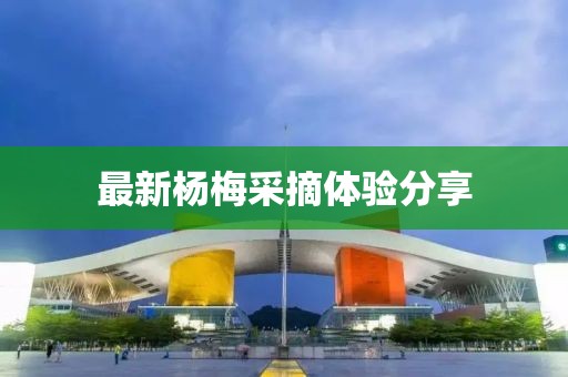最新杨梅采摘体验分享