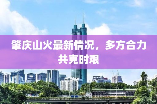 肇庆山火最新情况，多方合力共克时艰
