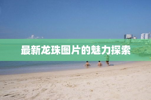 最新龙珠图片的魅力探索