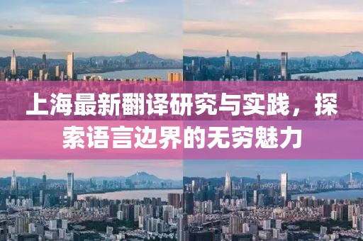 上海最新翻译研究与实践，探索语言边界的无穷魅力