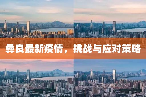 彝良最新疫情，挑战与应对策略