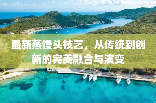 最新蒸馒头技艺，从传统到创新的完美融合与演变