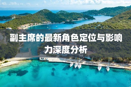 副主席的最新角色定位与影响力深度分析