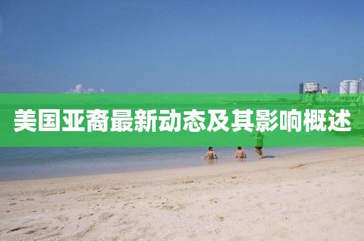 美国亚裔最新动态及其影响概述