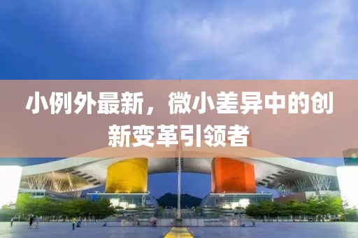 小例外最新，微小差异中的创新变革引领者