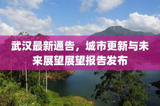 武汉最新通告，城市更新与未来展望展望报告发布