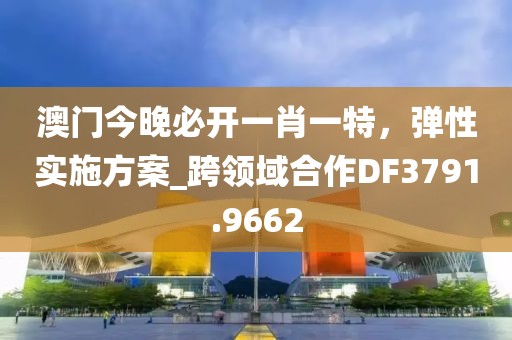 澳门今晚必开一肖一特，弹性实施方案_跨领域合作DF3791.9662