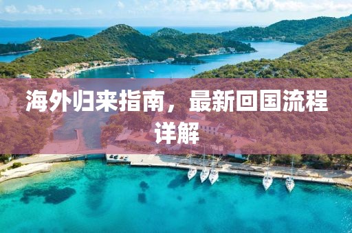 海外归来指南，最新回国流程详解