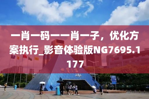 一肖一码一一肖一子，优化方案执行_影音体验版NG7695.1177
