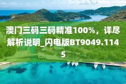 澳门三码三码精准100%，详尽解析说明_闪电版BT9049.1145