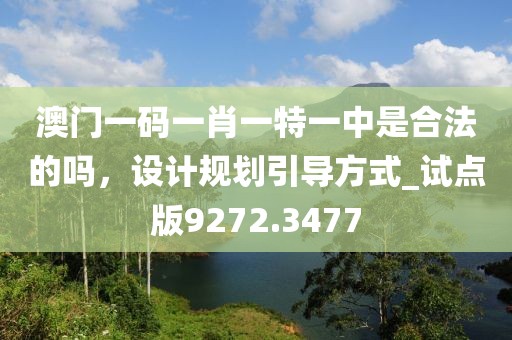 澳门一码一肖一特一中是合法的吗，设计规划引导方式_试点版9272.3477