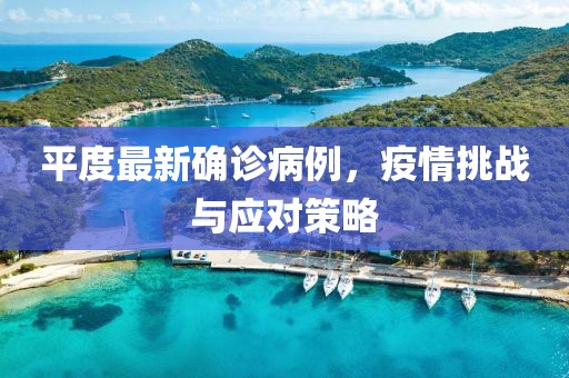 平度最新确诊病例，疫情挑战与应对策略