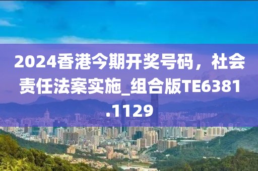 2024香港今期开奖号码，社会责任法案实施_组合版TE6381.1129
