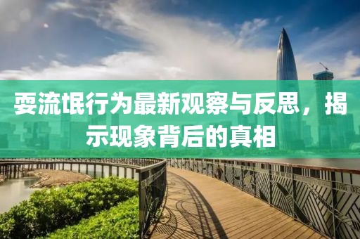 耍流氓行为最新观察与反思，揭示现象背后的真相