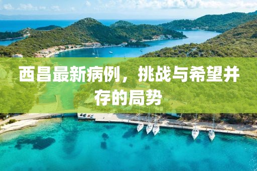 西昌最新病例，挑战与希望并存的局势