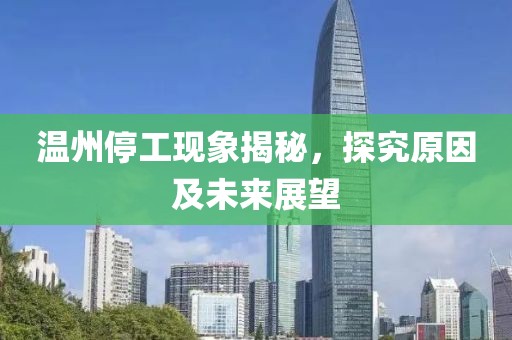 温州停工现象揭秘，探究原因及未来展望