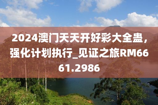 2024澳门天天开好彩大全蛊，强化计划执行_见证之旅RM6661.2986