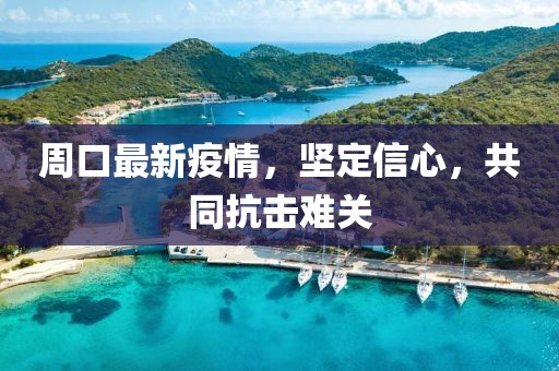 周口最新疫情，坚定信心，共同抗击难关