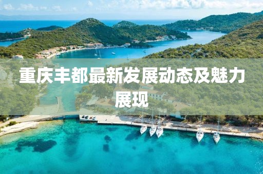 重庆丰都最新发展动态及魅力展现