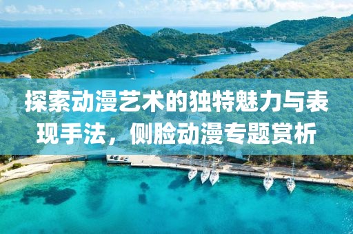 探索动漫艺术的独特魅力与表现手法，侧脸动漫专题赏析