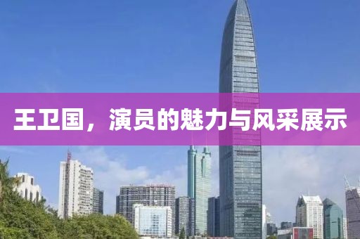 王卫国，演员的魅力与风采展示