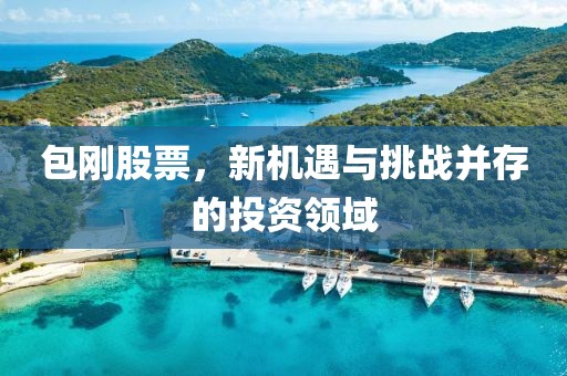 包刚股票，新机遇与挑战并存的投资领域