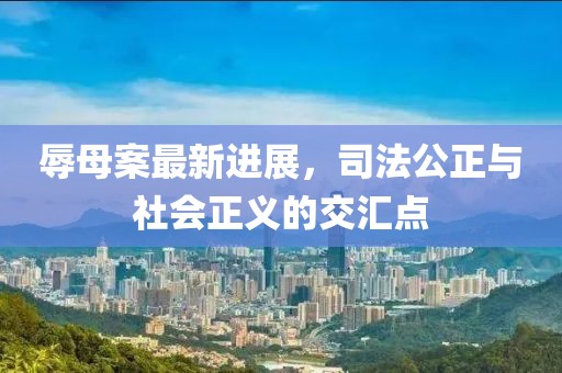 辱母案最新进展，司法公正与社会正义的交汇点