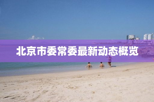 北京市委常委最新动态概览