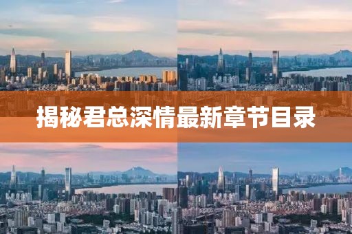 揭秘君总深情最新章节目录