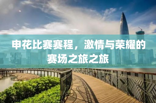 申花比赛赛程，激情与荣耀的赛场之旅之旅
