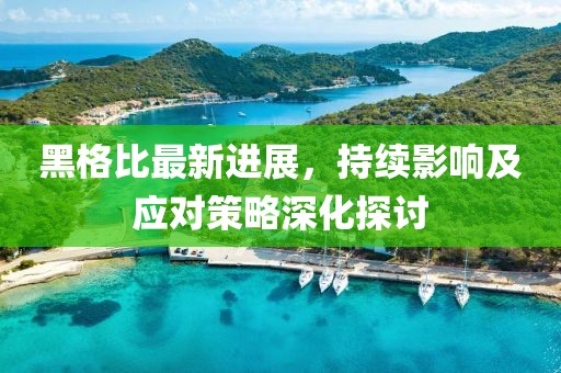 黑格比最新进展，持续影响及应对策略深化探讨