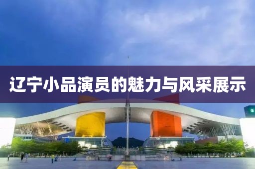 辽宁小品演员的魅力与风采展示