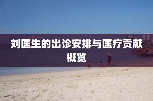 刘医生的出诊安排与医疗贡献概览