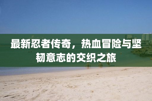 最新忍者传奇，热血冒险与坚韧意志的交织之旅