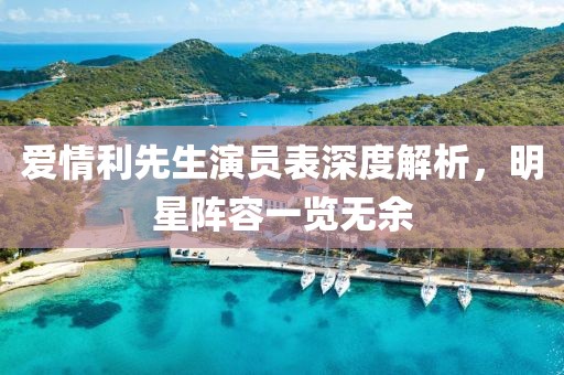 爱情利先生演员表深度解析，明星阵容一览无余