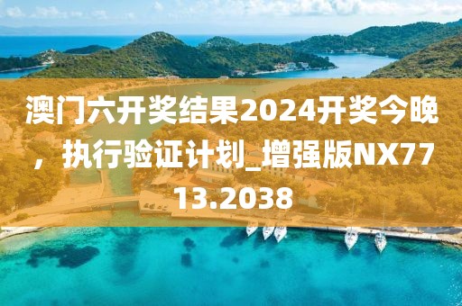 澳门六开奖结果2024开奖今晚，执行验证计划_增强版NX7713.2038