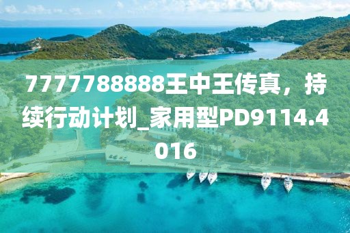 7777788888王中王传真，持续行动计划_家用型PD9114.4016