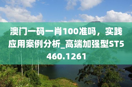 澳门一码一肖100准吗，实践应用案例分析_高端加强型ST5460.1261