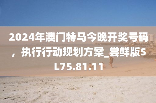 2024年澳门特马今晚开奖号码，执行行动规划方案_尝鲜版SL75.81.11