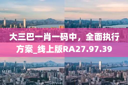 大三巴一肖一码中，全面执行方案_线上版RA27.97.39