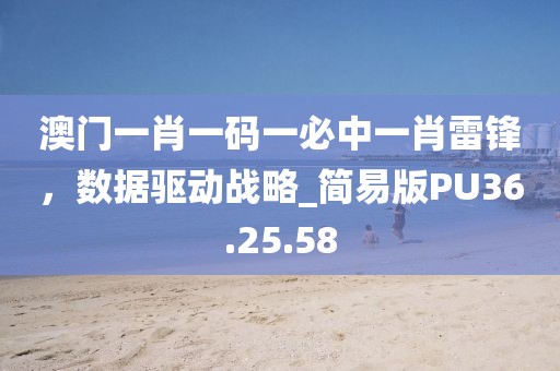 澳门一肖一码一必中一肖雷锋，数据驱动战略_简易版PU36.25.58