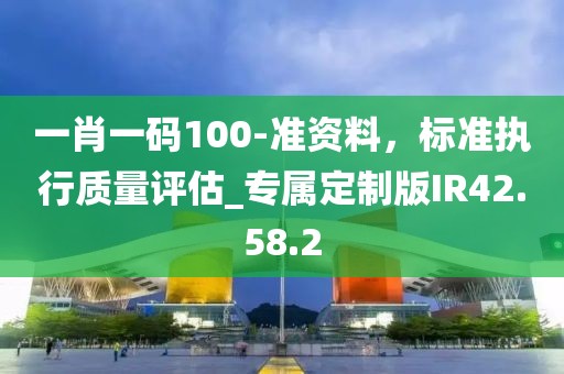 一肖一码100-准资料，标准执行质量评估_专属定制版IR42.58.2