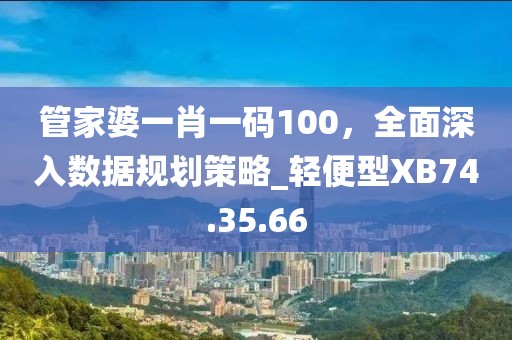 管家婆一肖一码100，全面深入数据规划策略_轻便型XB74.35.66