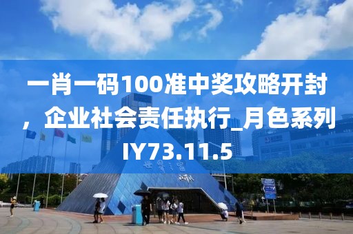 一肖一码100准中奖攻略开封，企业社会责任执行_月色系列IY73.11.5