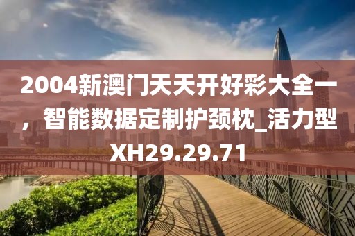 2004新澳门天天开好彩大全一，智能数据定制护颈枕_活力型XH29.29.71